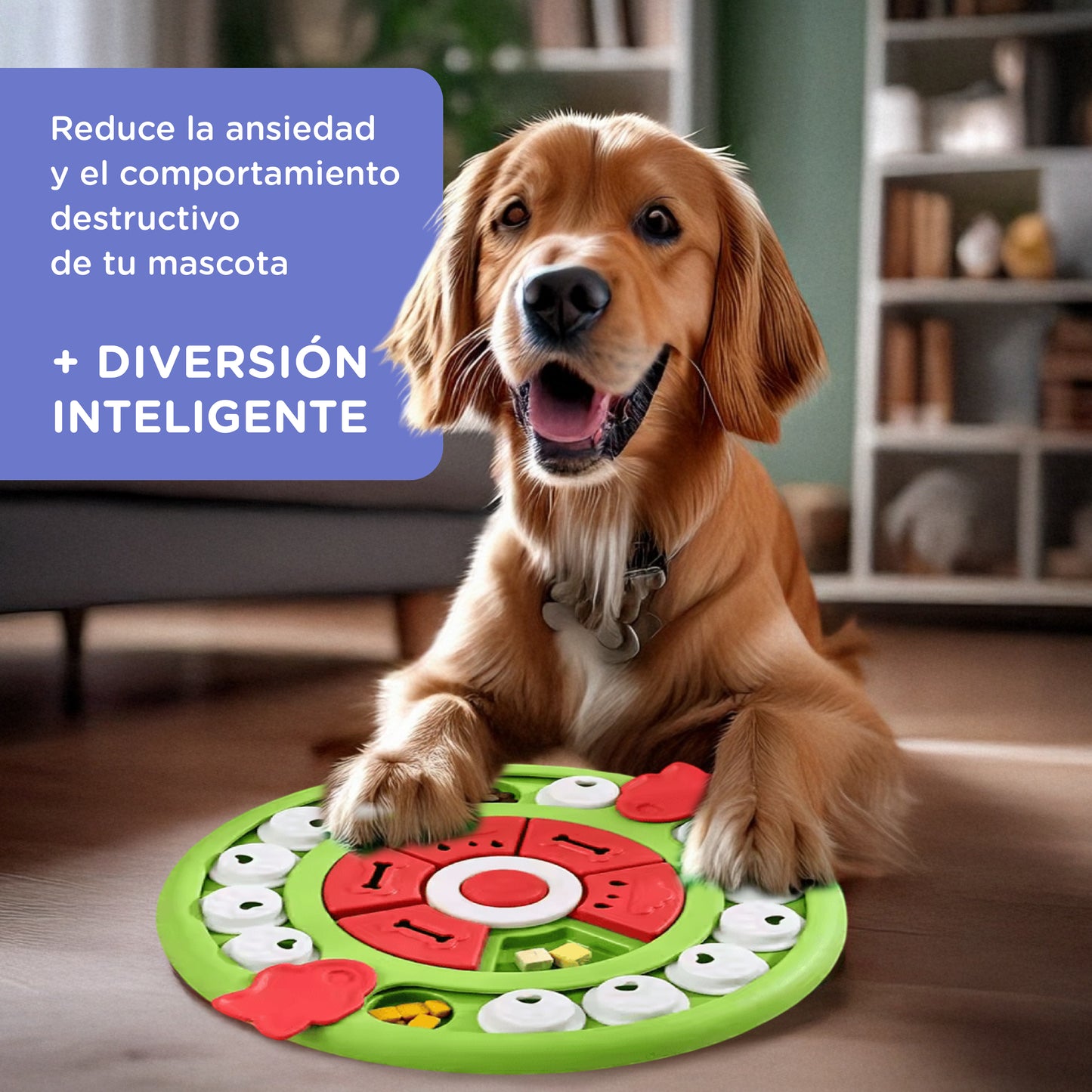 PizzaPet - Rompecabezas Interactivo para Perros
