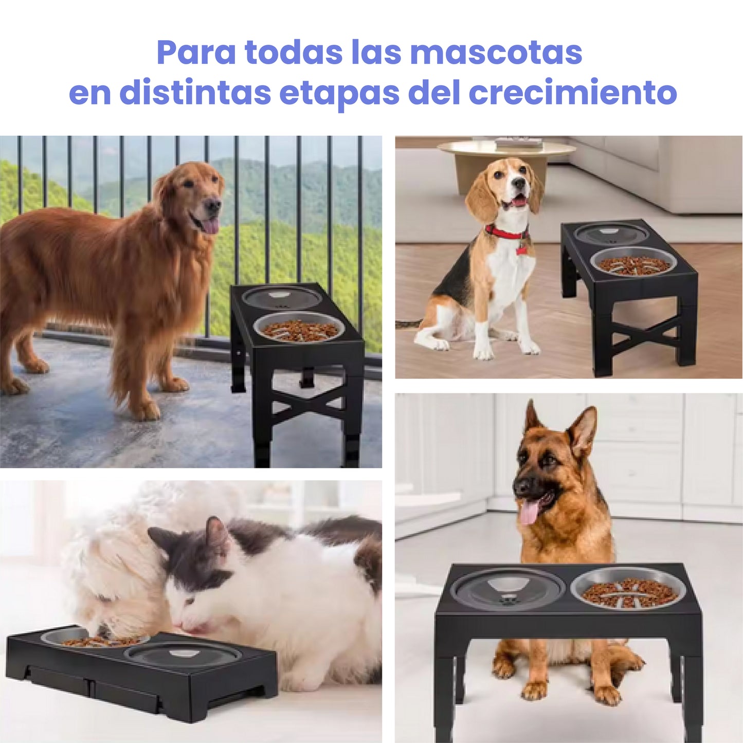 Comedero y Bebedero Antigoteo Elevado