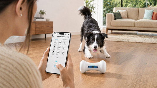 Juguetes Interactivos para Perros: Bienestar, Diversión y Seguridad para tu Mascota