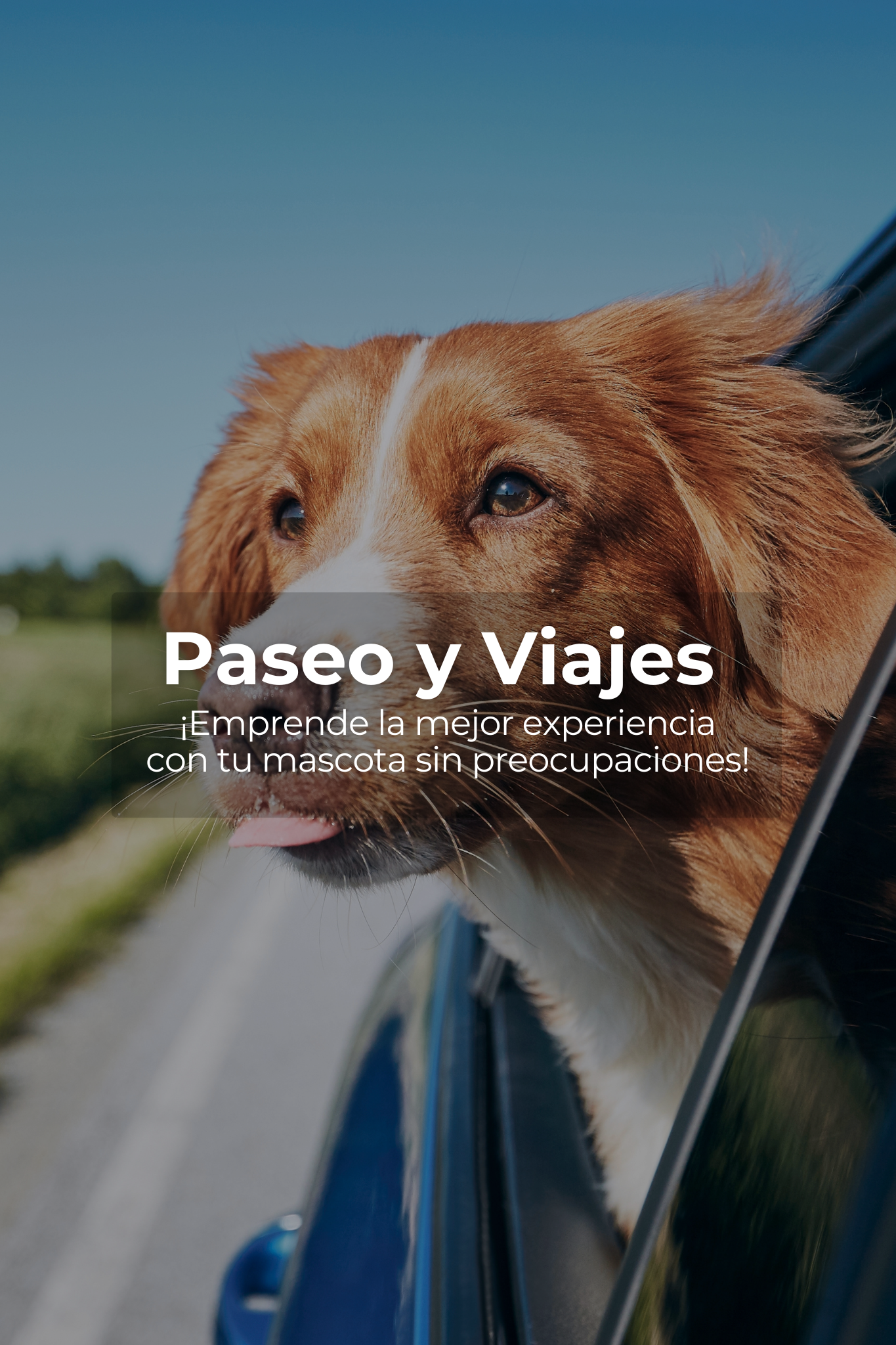 🧳Paseos y Viajes