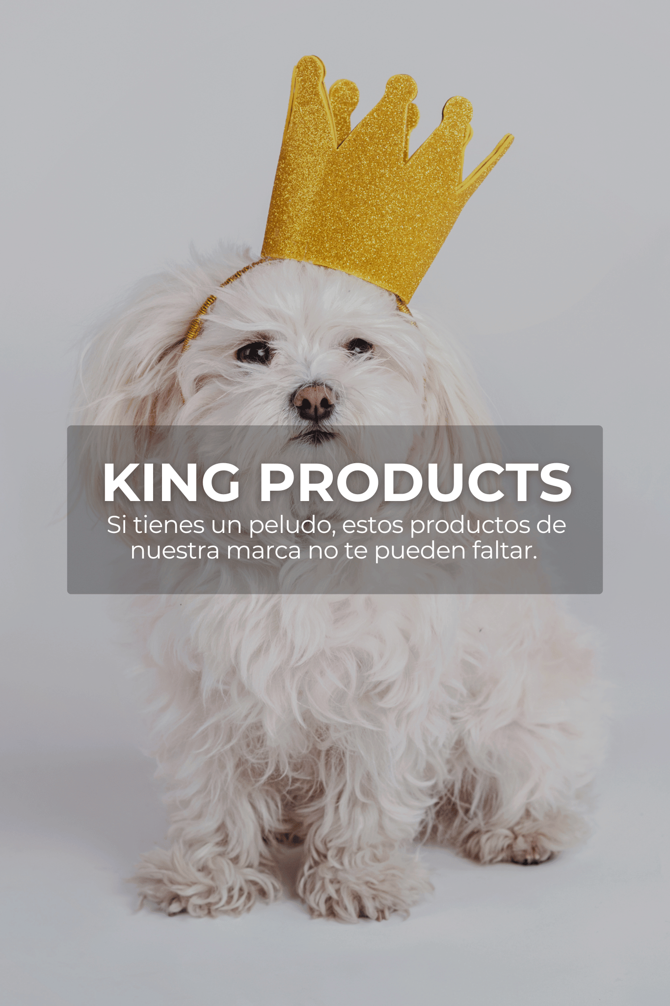 👑 King Products