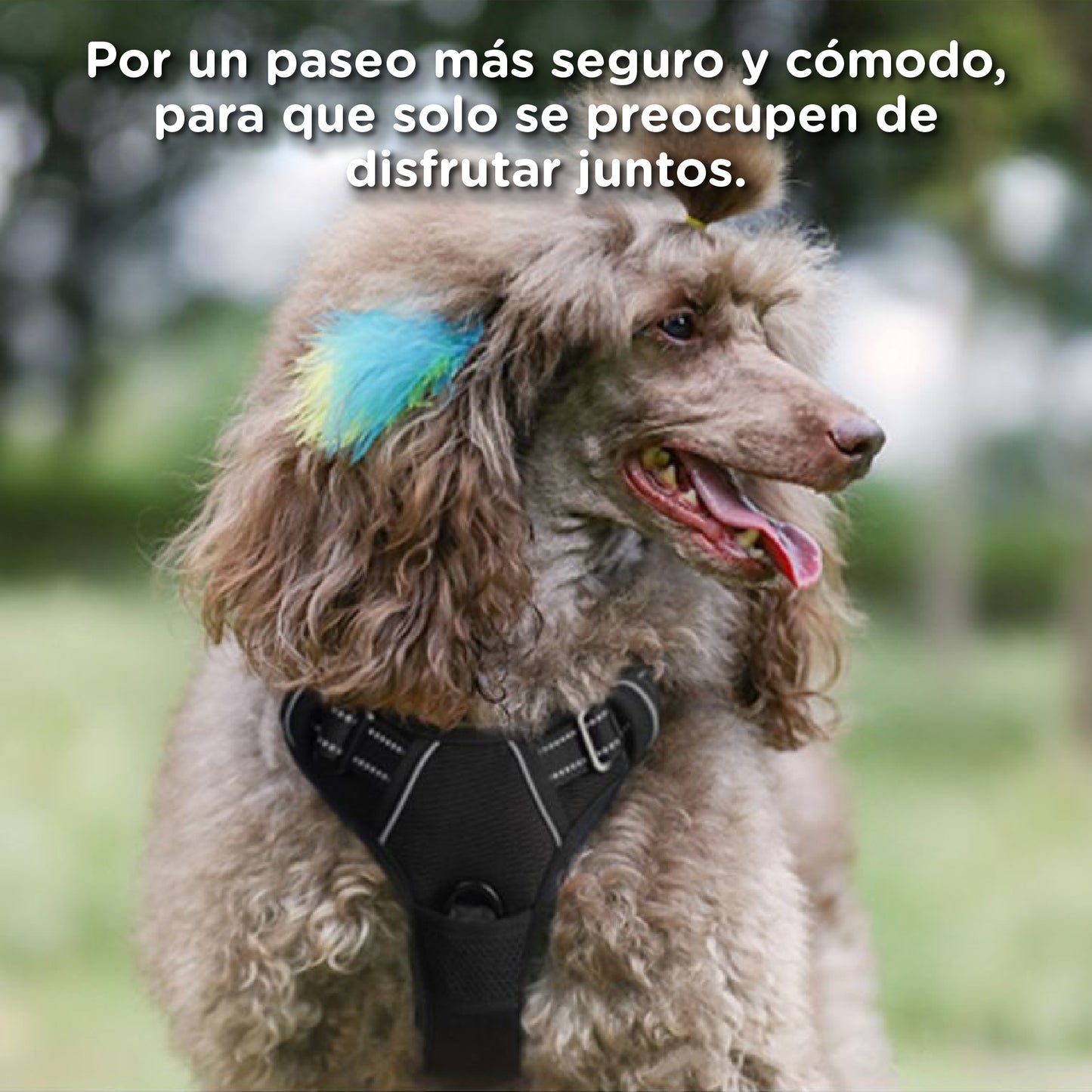 Arnés para perros (Negro)