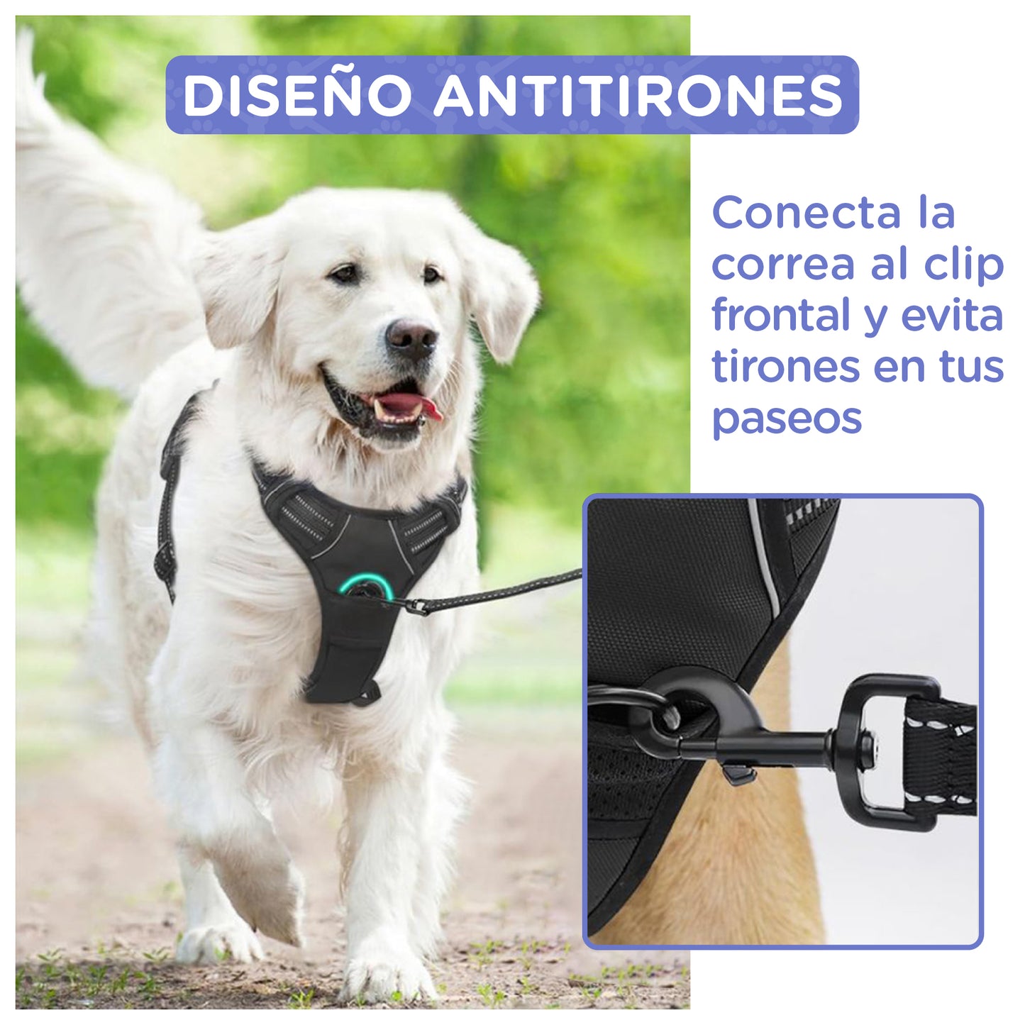 Arnés para perros (Negro)