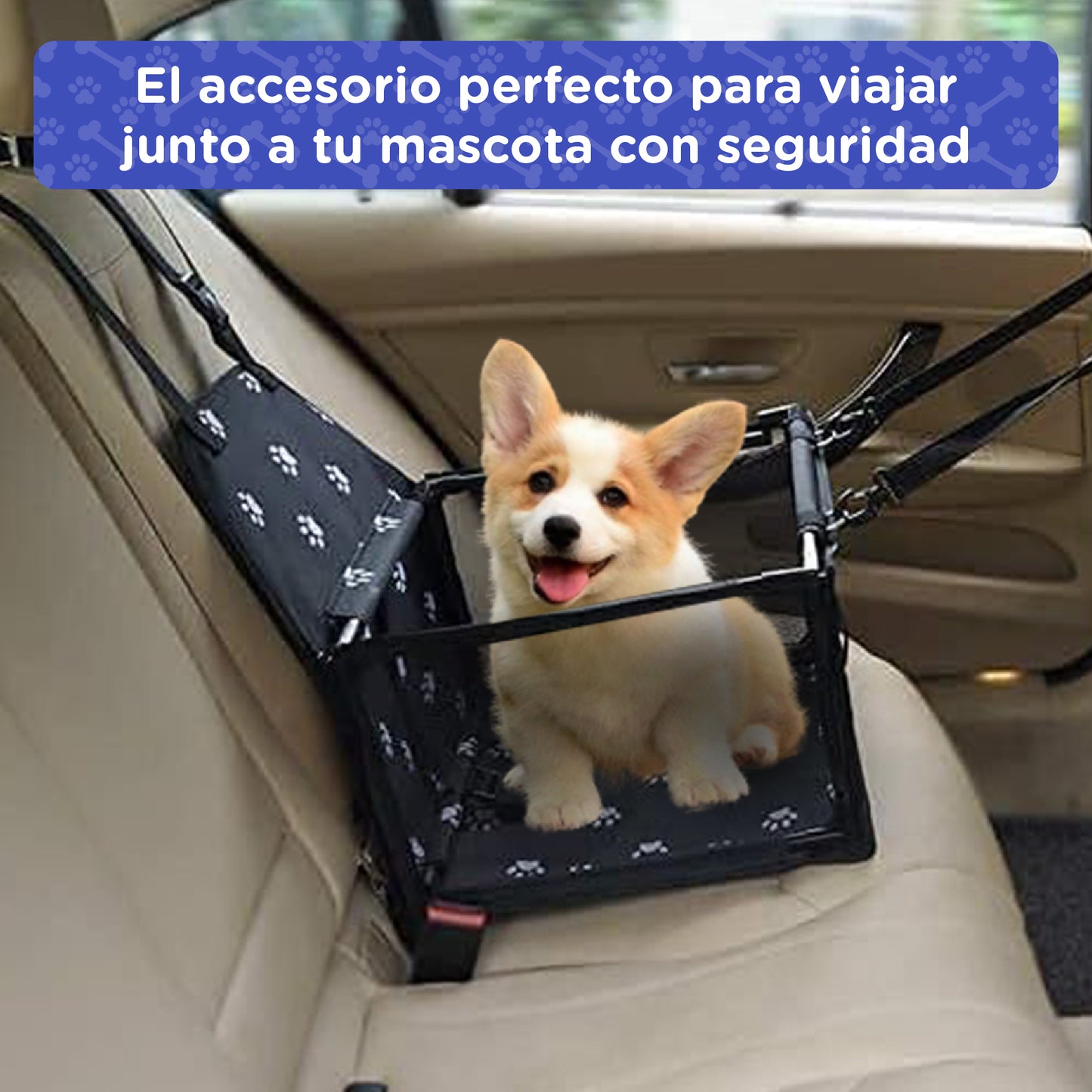 Asiento de Coche para perros con cinturón de seguridad