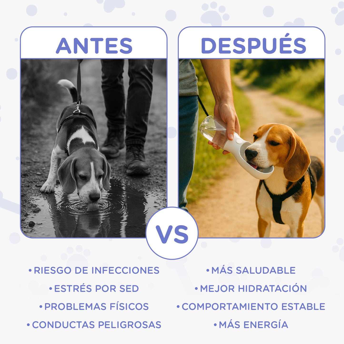 Botella Portátil 2 en 1 de Agua + Snacks