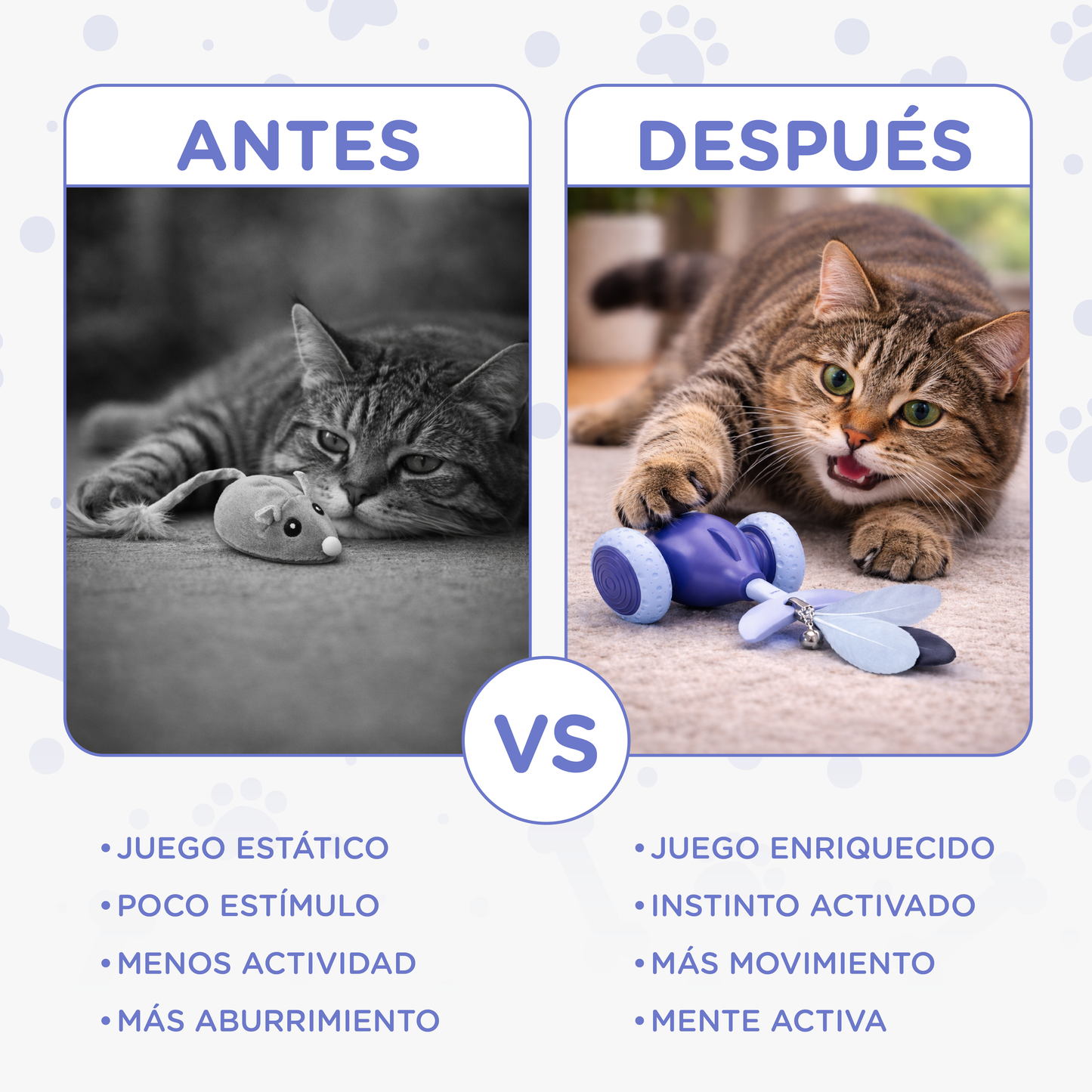 Ballena - Juguete Interactivo para Gatos