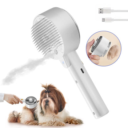 Cepillo a Vapor 4 en 1 - Premium