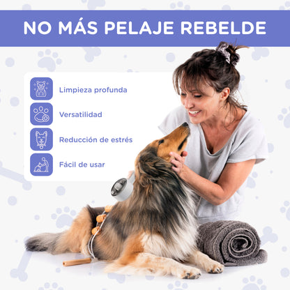 Cepillo a Vapor 4 en 1 - Premium