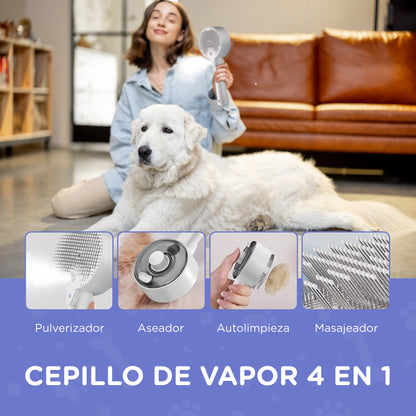 Cepillo a Vapor 4 en 1 - Premium