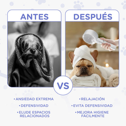 Cepillo a Vapor 4 en 1 - Premium