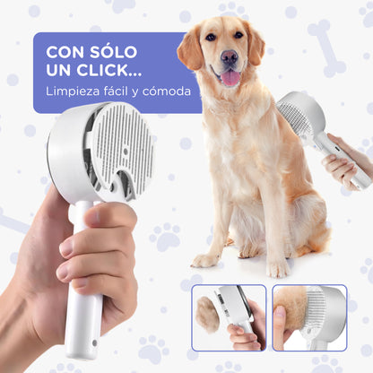 Cepillo a Vapor 4 en 1 - Premium