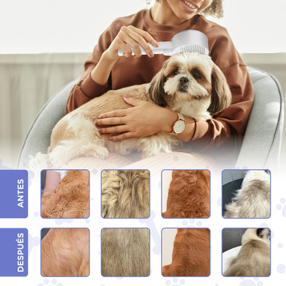 Cepillo a Vapor 4 en 1 - Premium