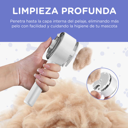 Cepillo a Vapor 4 en 1 - Premium