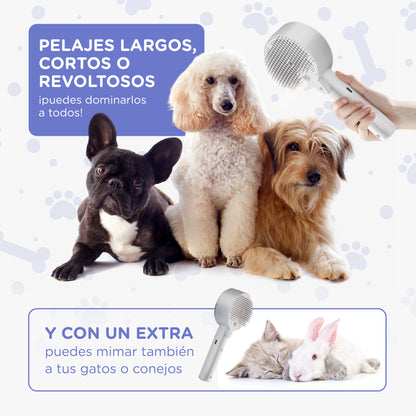 Cepillo a Vapor 4 en 1 - Premium