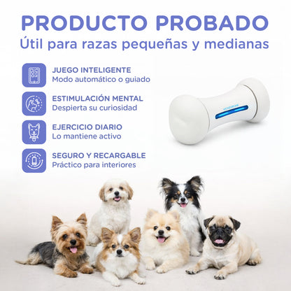 Wickedbone - Juguete interactivo premium para perros pequeños y medianos