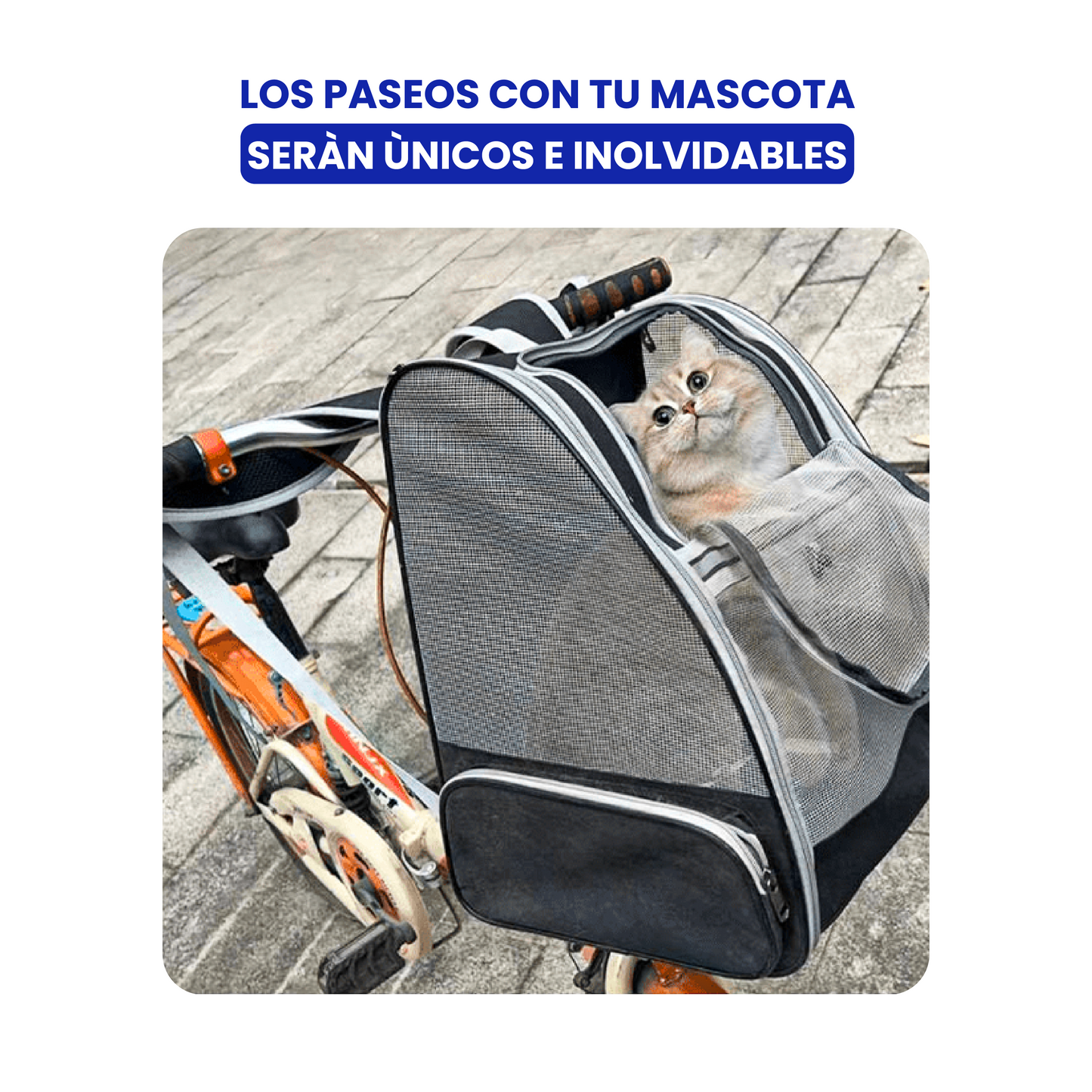 Mochila Transportín de Perros (hasta 10kg)