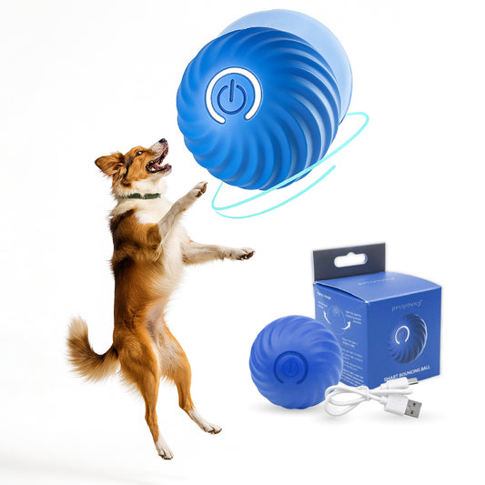 Pelota Interactiva