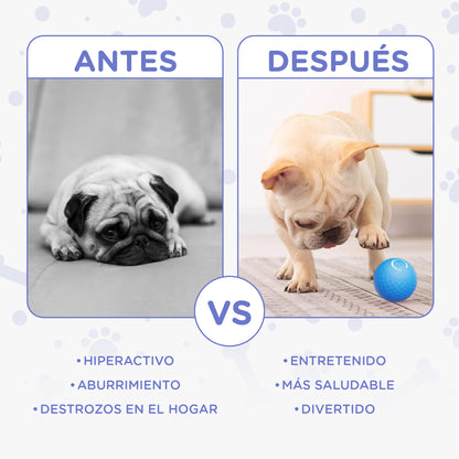 Pelota Interactiva con Luces LED