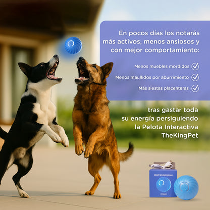 Pelota Interactiva con Luces LED