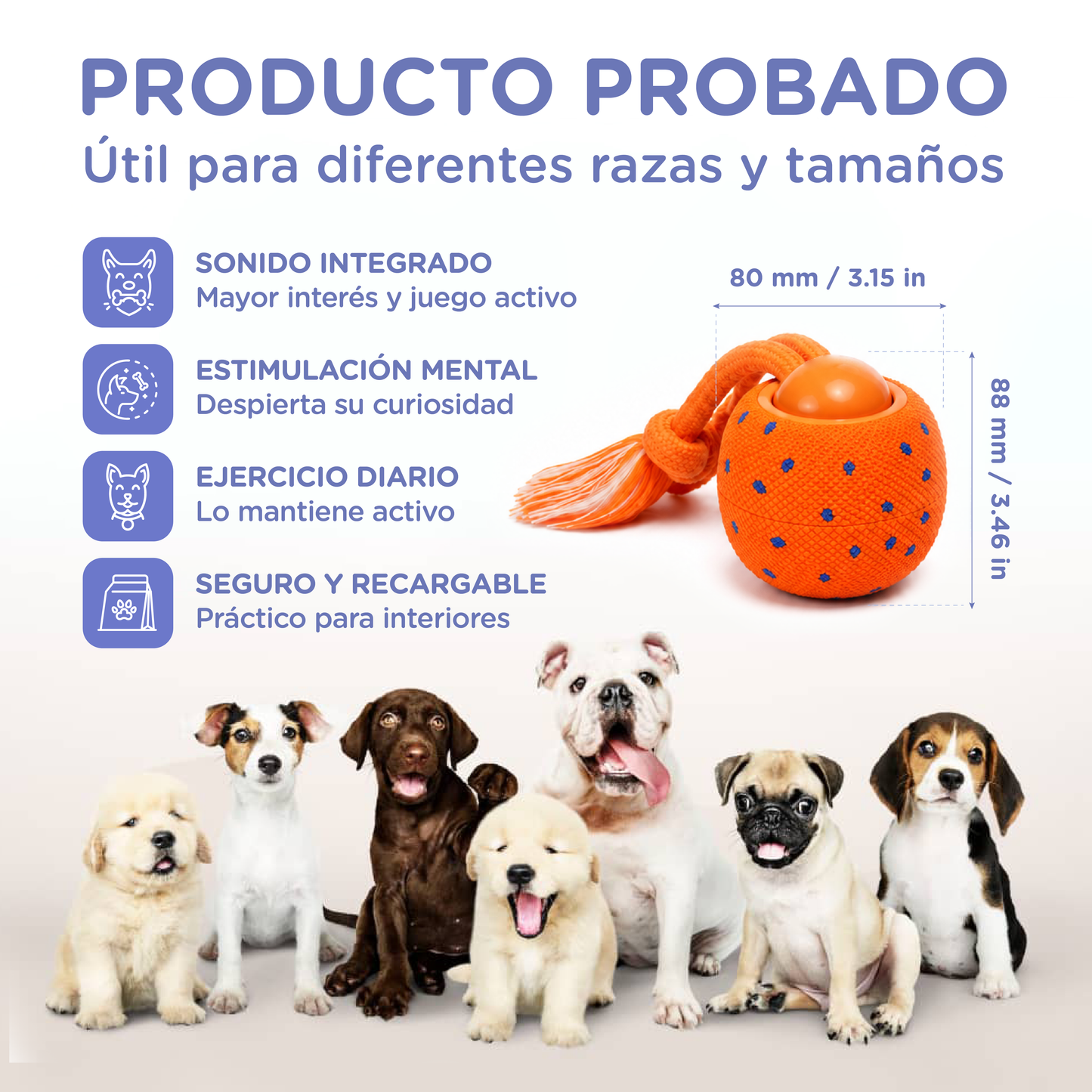 Robik Motion Interactive Ball