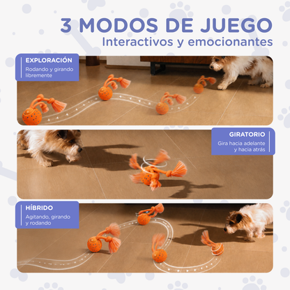 Robik Motion Interactive Ball