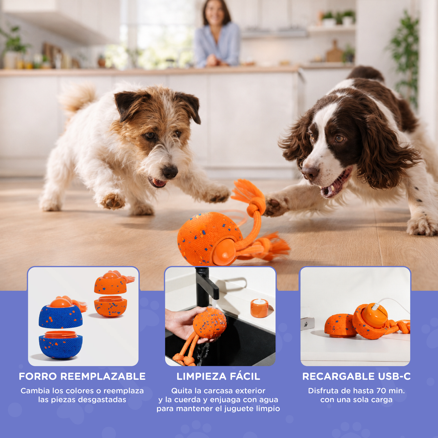 Robik Motion Interactive Ball