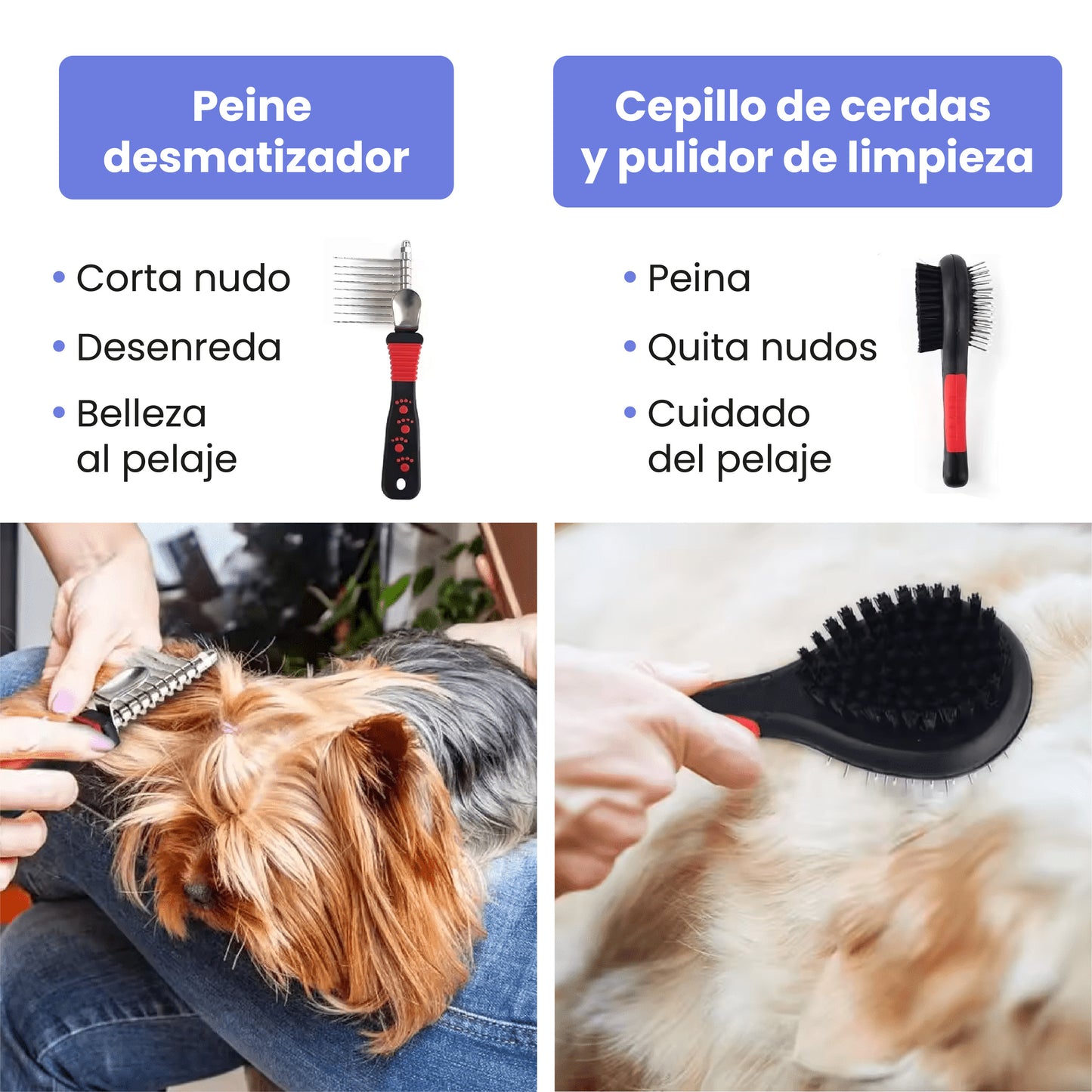 Kit de Aseo Rojo Daybreak Pet 8 en 1