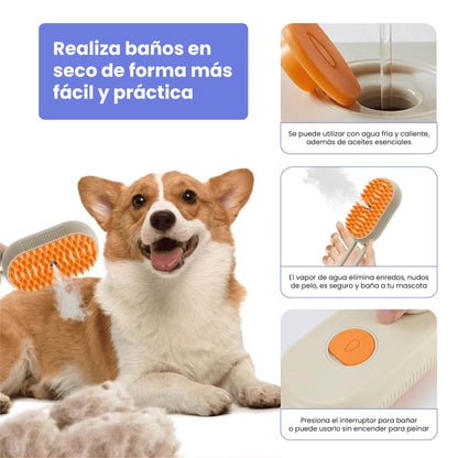 Cepillo a Vapor para Baños en Seco