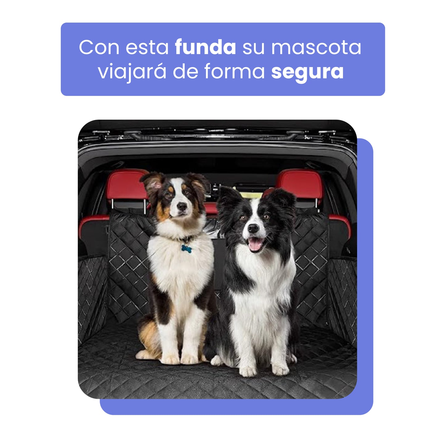 Funda Premium Protectora de Tapicería para Viajar con Mascotas