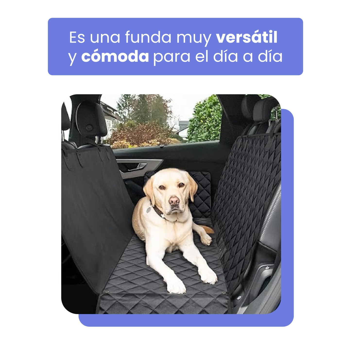 Funda Premium Protectora de Tapicería para Viajar con Mascotas